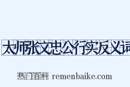 太师张文忠公行实反义词是什么意思的图片